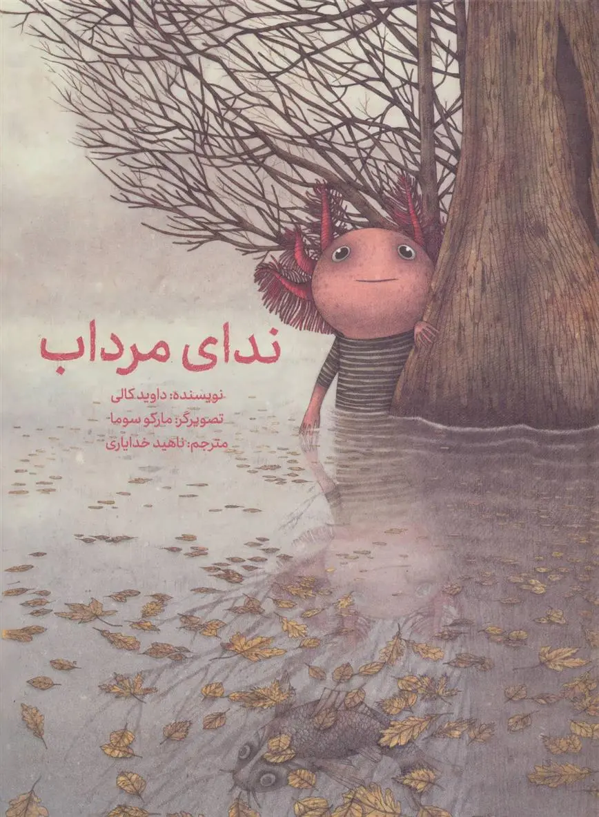 خرید و قیمت کتاب ندای مرداب اثر دیوید کالی