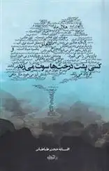 دانلود pdf کتاب کسی پشت درخت ها سوت می زند افسانه حجتی طباطبائی