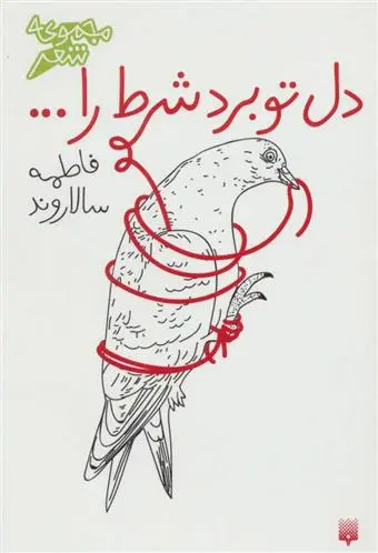 دانلود pdf کتاب دل تو برد شرط را… فاطمه سالاروند