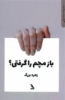 دانلود pdf کتاب بازم مچم را گرفتی زهره بزرگ