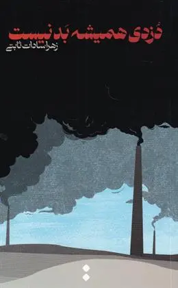 دانلود pdf کتاب دزدی همیشه بد نیست زهراسادات ثابتی