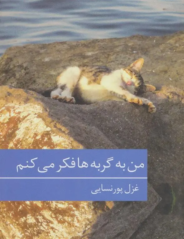 دانلود pdf کتاب من به گربه ها فکر می کنم غزل پورنسایی