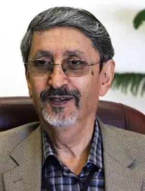 پرویز بیرجندی