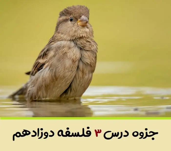 دانلود pdf جزوه درس سوم فلسفه دوازدهم (سوالات متن + جواب به کار ببندیم،تمرین،مقایسه و بررسی)